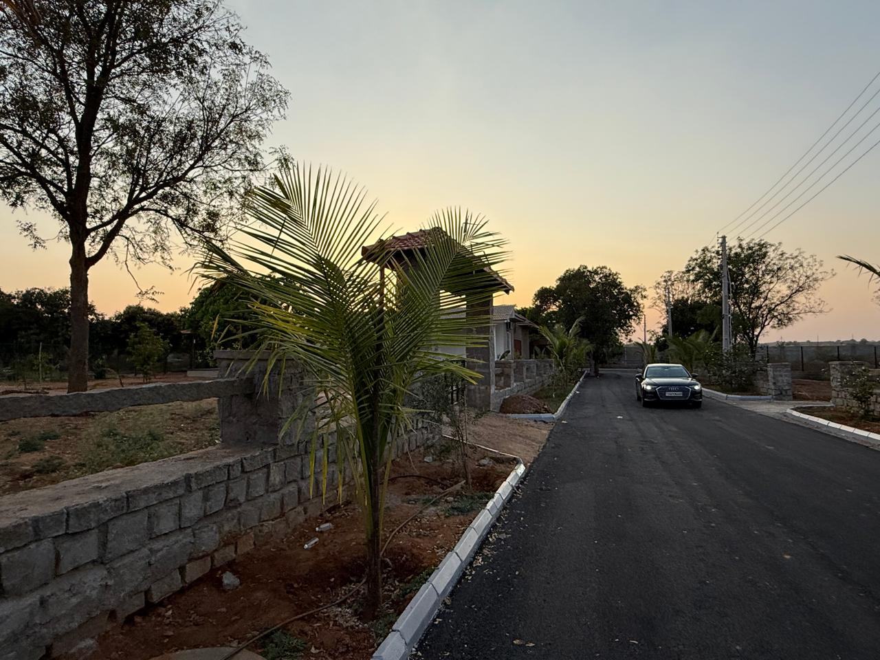 Nature's Nest landscaped internal road and entry avenue at sunset